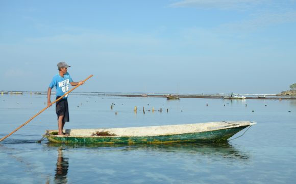 Pulangnya Rumput Laut ke Laut Nusa Penida